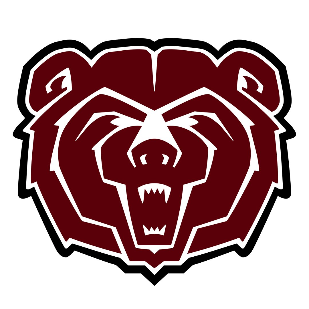 southwest missouri state bears